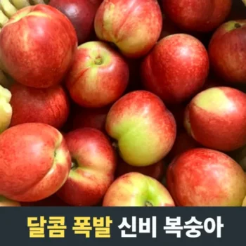 친환경적인 열매나무 신비 복숭아 1kgX2팩 적극추천