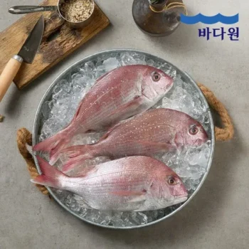 경제적인 국내산 반건조 참돔 300g7마리 Best8추천