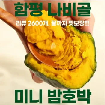 저렴한 2024 제주하씸 미니단호박 4kg 4kg 총 8kg 리뷰