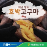 나만 빼고 다 아는 2023 화산농협 해남 황토 호박고구마 8kg 적극추천