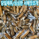 이번주 추천상품 맛조개 리뷰