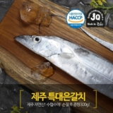 가성비 최고 제주 특대 은갈치 20토막 총5마리 리뷰