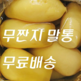 나만 보고 싶은 짠무 Best8추천