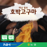 합리적인 당신을 위한 화산농협 해남 황토 호박고구마 8kg 추천 리뷰